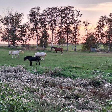 Js Feriendomizile Haus Abendrot Villa Hasselfelde Ngoại thất bức ảnh